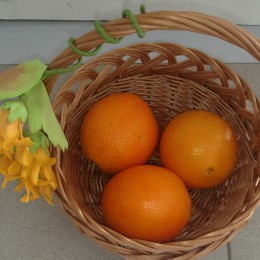 Я — исследователь 2018 Физика_5